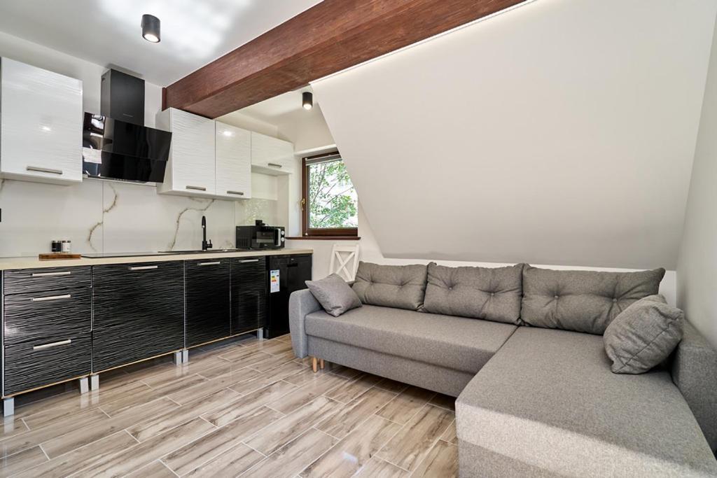 Apartamenty U Kamila 자코파네 외부 사진